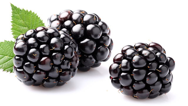 Fruits