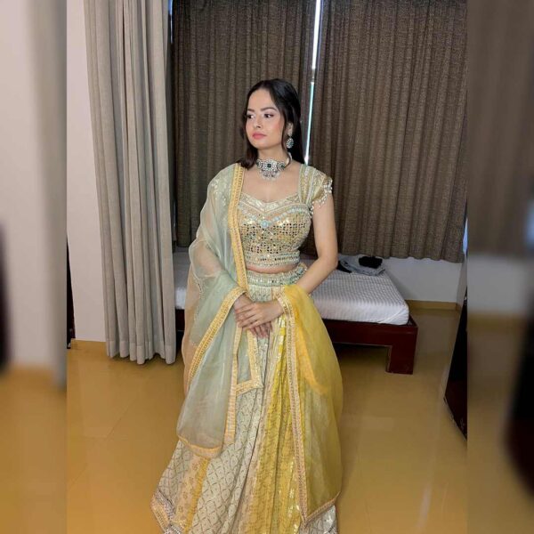 Multicolour Banarsi Lehenga - Image 2
